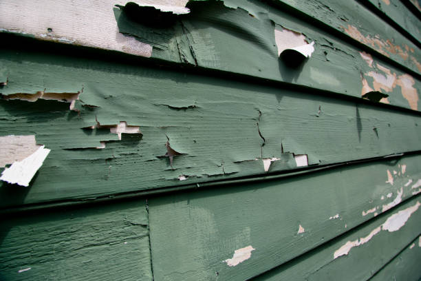 Best Shed Removal  in Lennox, SD